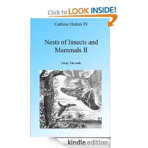 Nest of Insects And Mammals II Illustrated (Curious Homes) Mary 