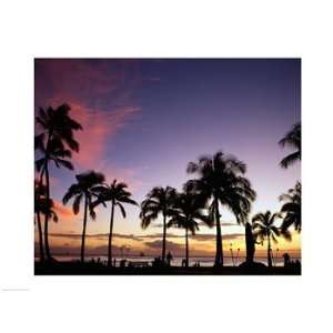  of palm trees on the beach, Waikiki Beach, Honolulu, Oahu, Hawaii 
