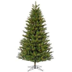     10 x 67 Augusta Pine 800 Clear Lights Christmas Tree (G113386
