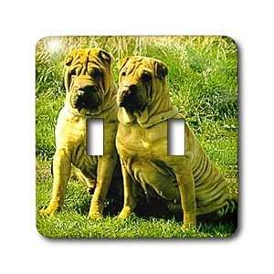 Dogs Chinese SharPei   Chinese SharPei   Light Switch Covers   double 