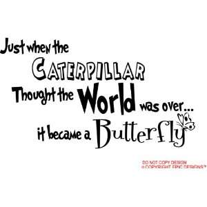  #2 Just when the caterpillar thought the world was over 