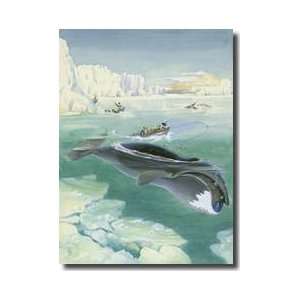 Whalers Attack A Greenland Right Whale With Harpoons Giclee Print 