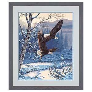    Paint By Number Kit 16 Inch X20 Inch  Winter Flight