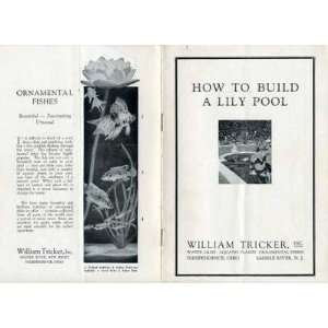  How to Build a Lilly Pool 1928 Booklet 