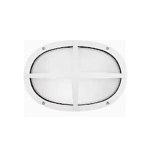  Geoform oval cage wall sconce by LBL Lighting