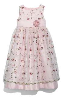 Dorissa Valerie Embroidered Dress (Little Girls)  