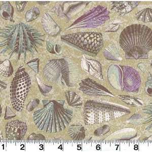  45 Wide Laguna Shells Sand Fabric By The Yard Arts 