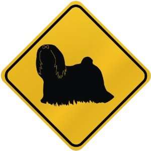  ONLY  LHASA APSO  CROSSING SIGN DOG