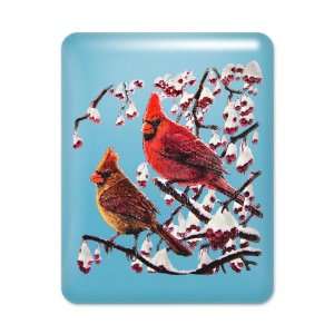   Light Blue Christmas Cardinals Snowy Red Berry Branches Everything