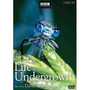  Gaiam Life in the Undergrowth DVD