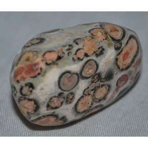 Jasper Tumbled Leopard Skin Jasper, Healing Stones, Metaphysical 