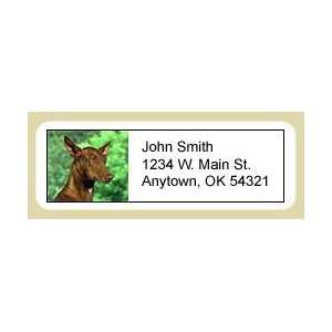  Pharaoh Hound Address Labels