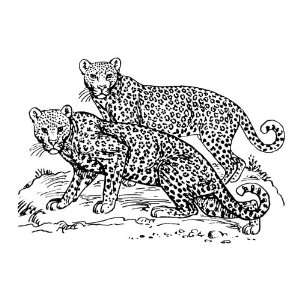   inch x 4 inch Greeting Card Line Drawing Leopard
