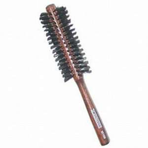    Scalpmaster Boar Bristle All Round Brush 1 1/4 (Pack of 4) Beauty