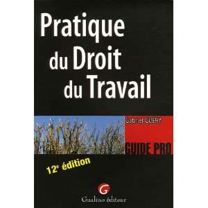  Pratique du Droit du Travail (French Edition 