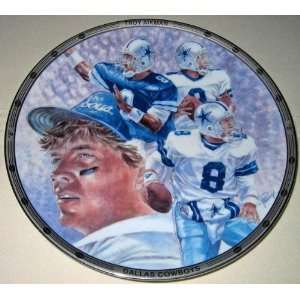   NFL Ltd. Edition COLLECTORS PLATE   PLATINUM ED.