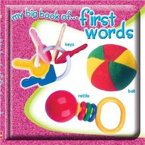  My Big Book of First Words (9781588452801) Carson Dellosa 