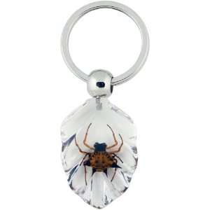  Amber / Clear Acrylic with Embedded Real Insect Key Ring 