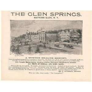  1894 The Glen Springs Health Resort Watkins Glen NY Print 