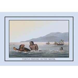 Framed Black poster printed on 20 x 30 stock. Turtle Fishing In The 