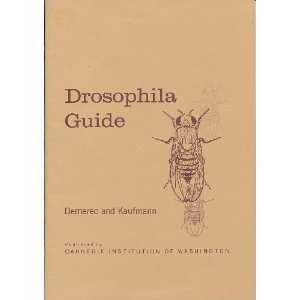  Drosophila Guide   Introduction to the Genetics and 