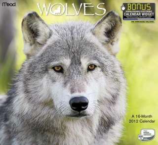 Wolves 2012 Wall Calendar 1423810856  