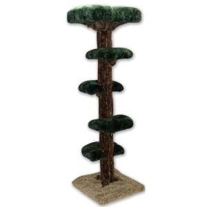    Beatrise Pet Products 7 Foot Paw Paw Tree BP133