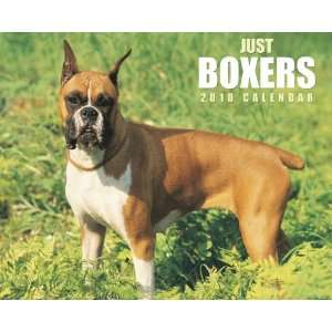    Just Boxers Calendar (9781595438737) Willow Creek Press Books
