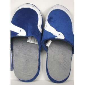  Indianapolis Colts 2011 Big Logo Hard Sole Slippers (Two 