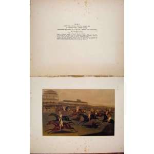   Horse Racing Print C1929 Liverpool Grand Steeple Chase