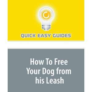  How To Free Your Dog from his Leash Tips To Keep Your Pet 