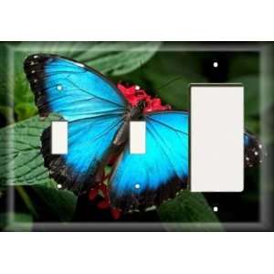  Two Switch / One Rocker Plate   Blue Butterfly