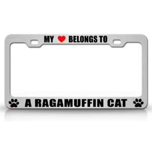 MY HEART BELONGS TO A RAGAMUFFIN Cat Pet Auto License Plate Frame Tag 