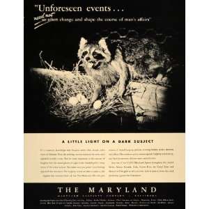   Ad Maryland Casualty Company Baltimore Raccoon   Original Print Ad