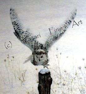 Launched Snowy Owl in Winter Landscape by George McLean  
