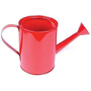  Small Metal Watering Can Toys & Games