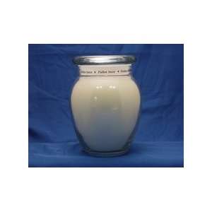  Early American Candle Fresh Fallen Snow 20 0z. Ginger Jar 