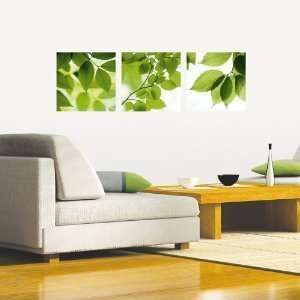 NEW Home Decor Art 3 Prints Wall Decal Sticker Leaves  