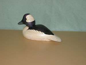 Decoy Buffel Head, Hand Carved, Hand Painted  