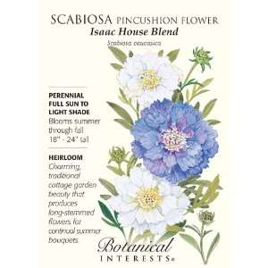  Isaac House Blend Pincushion Flower   300 mg   Scabiosa 