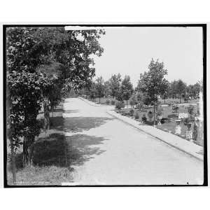  Cedar Grove Cemetery