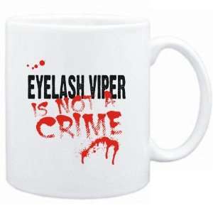   Being a  Eyelash Viper is not a crime  Animals