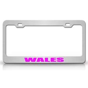 WALES Country Steel Auto License Plate Frame Tag Holder, Chrome/Pink