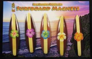 Surfboard Magnets   2 Tone Flower Design (5 pack)  