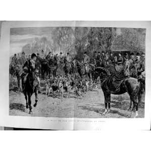 1888 Meeting Royal Staghounds Ascot Horses Hounds 