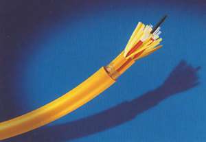 36 Strand Distribution Fiber Optic Bulk Cable MM 62.5/125 Riser 60M 