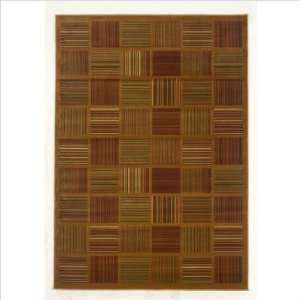  American Dream Unbelievable Tawny Contemporary Rug Size 7 