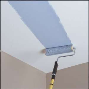  Ace Simply Magic Ceiling Paint