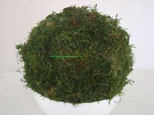 inch 100% PRESERVED GREEN MOSS BALL DECORATIONS PARTY  