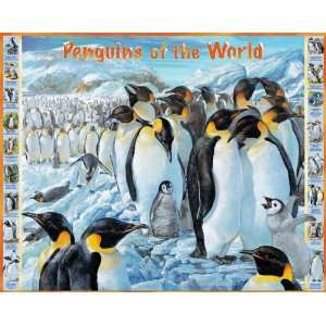  Penguins Of The World Jigsaw Puzzle 1000pc Toys & Games